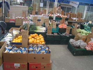 DSC08687.JPG