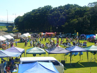 ������ 159.jpg